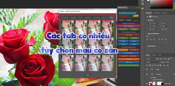 Các Preset lend màu cực đẹp
