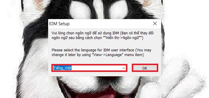 tai internet download manager full crack 26638 11 e1695205396291 tai internet download manager full crack 26638 11 e1695205396291