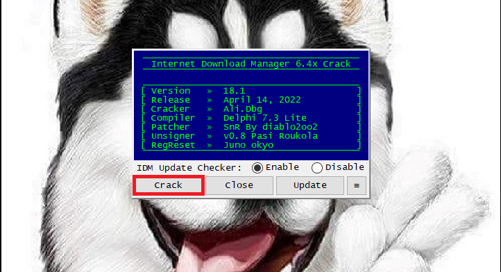 tai internet download manager full crack 26638 19 tai internet download manager full crack 26638 19