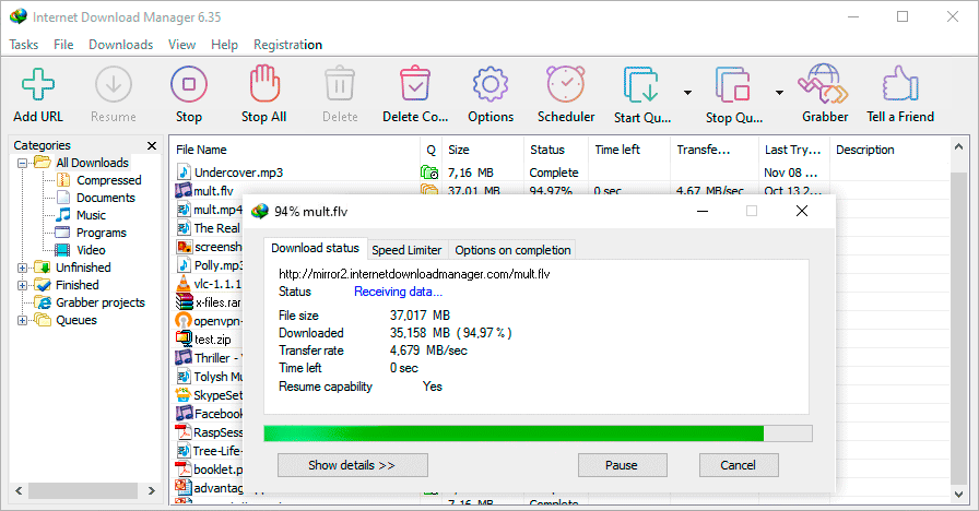 tai internet download manager full crack 26638 8 Thay đổi giao diện tuỳ chọn
