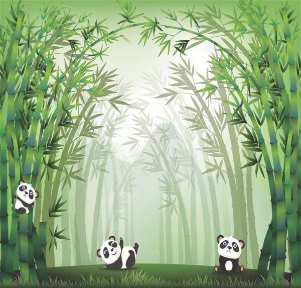 hoc corel o dau uy tin hieu va qua nhat tai tphcm 1 Học Corel ở đâu