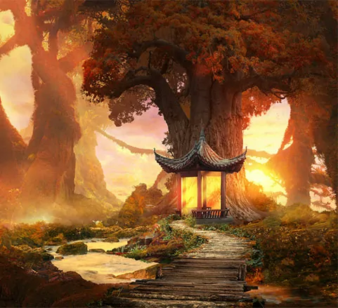 Hướng dẫn sử dụng Pen Tool Photoshop