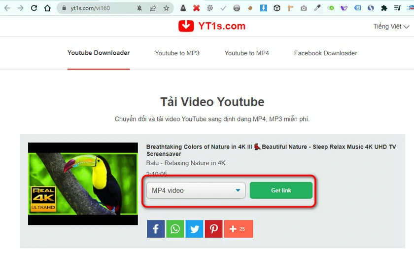 Hướng dẫn chi tiết cách tải video youtube