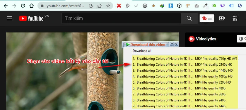 downlaod video youtube
