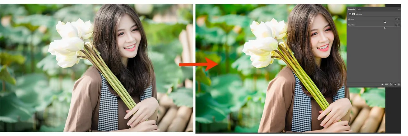 Kết quả của việc chỉnh màu trong Photoshop