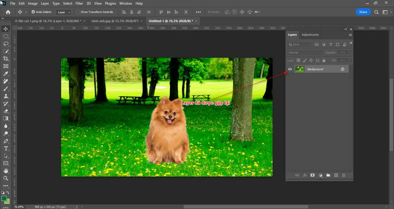 Cách tạo chất liệu ảnh trong photoshop