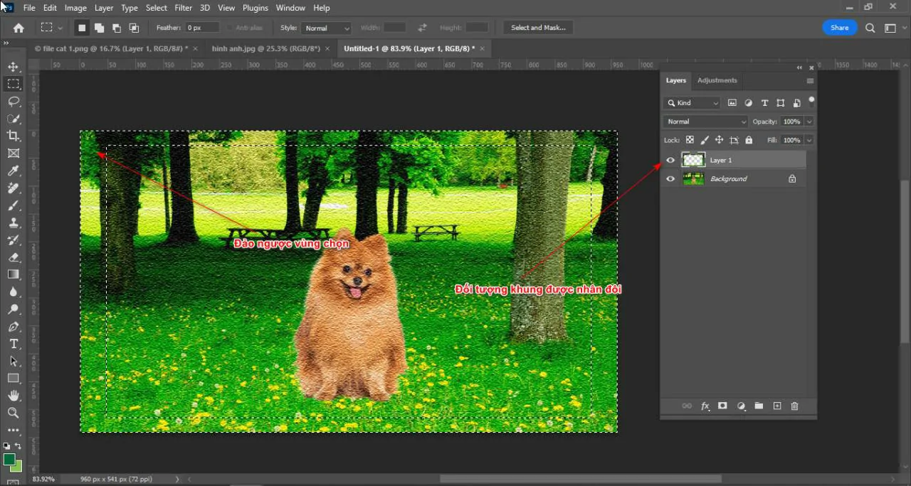 Cách tạo chất liệu ảnh trong photoshop