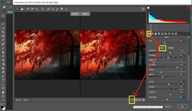 Hướng dẫn sử dụng camera Raw trong photoshop